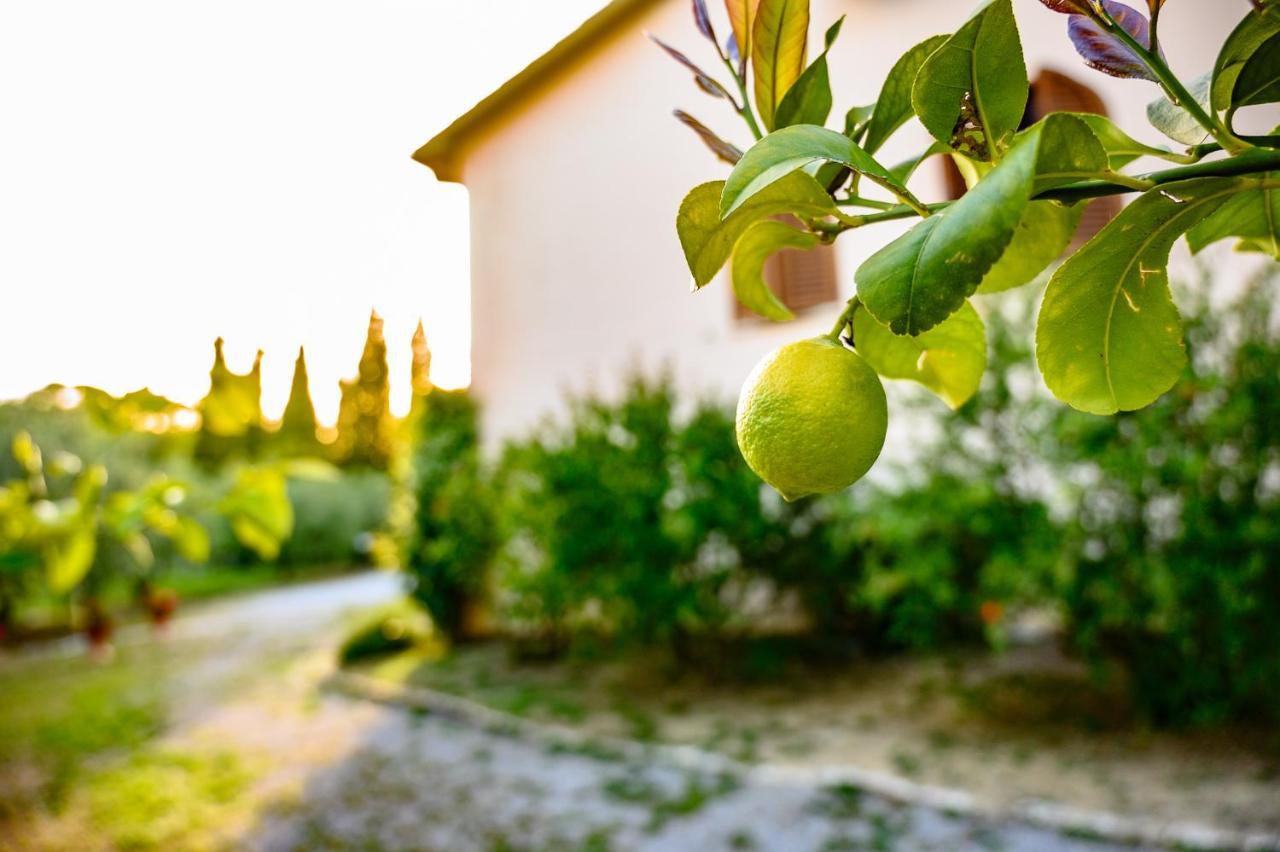 B&B Villa Giulia Saturnia Exteriör bild